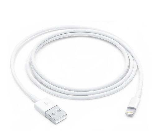 Apple Cable LIGHTNING Macho a USB 2.0 Macho 