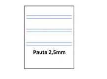 Pacsa Cuaderno Basic Folio pauta 2.5 80 hojas